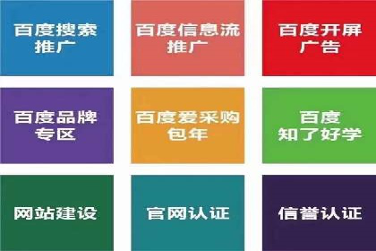 百度品牌广告的创意与执行案例